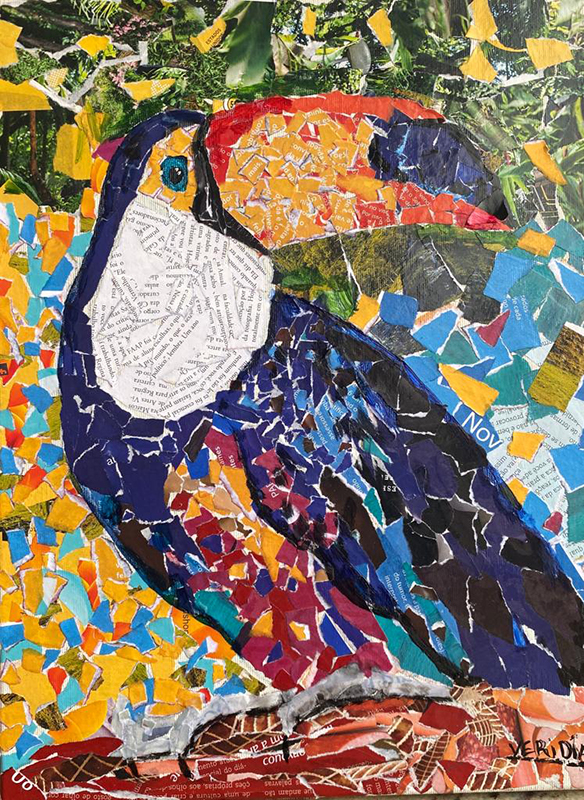 Tucano - 30 x 40 - Tc Mista com colagem